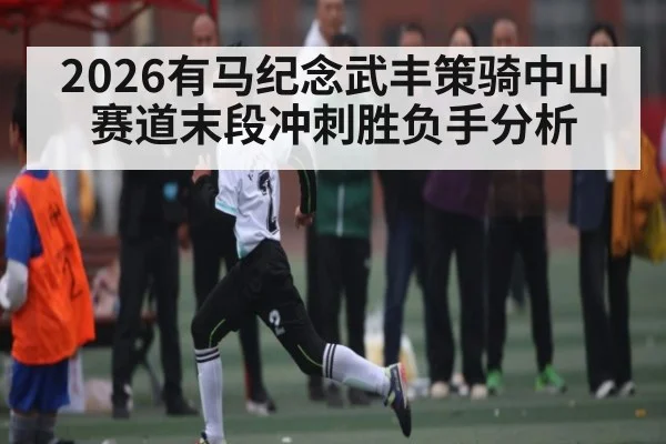 2026有马纪念武丰策骑中山赛道末段冲刺胜负手分析