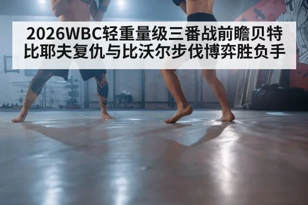 boxer footwork training
