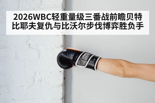 boxing gloves punch