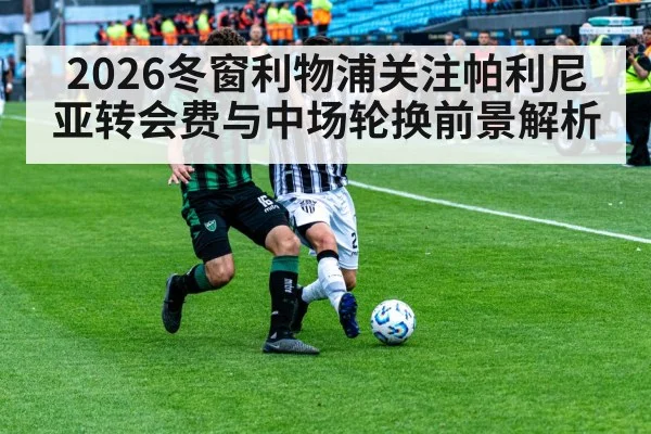 2026冬窗利物浦关注帕利尼亚转会费与中场轮换前景解析 - pulse-kaiyun.com